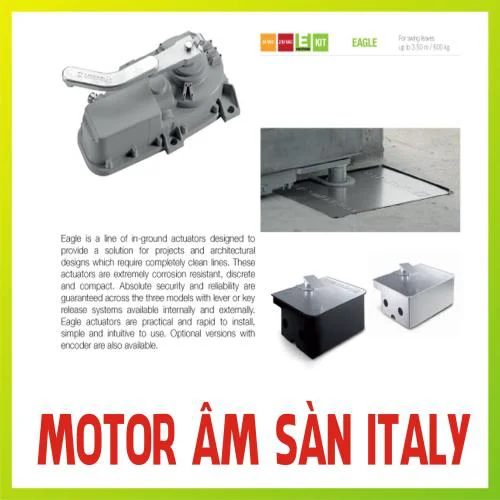 Motor âm sàn Italy Eagle